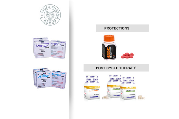 Mass Gaining Cycle Injectable #1